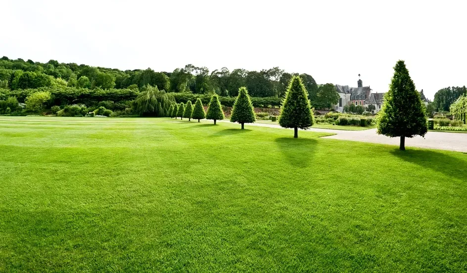 Entretien de jardin à LOUVIGNE-DU-DESERT