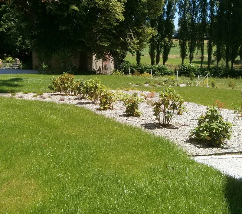 Lambert paysagiste fougère entretien (7)